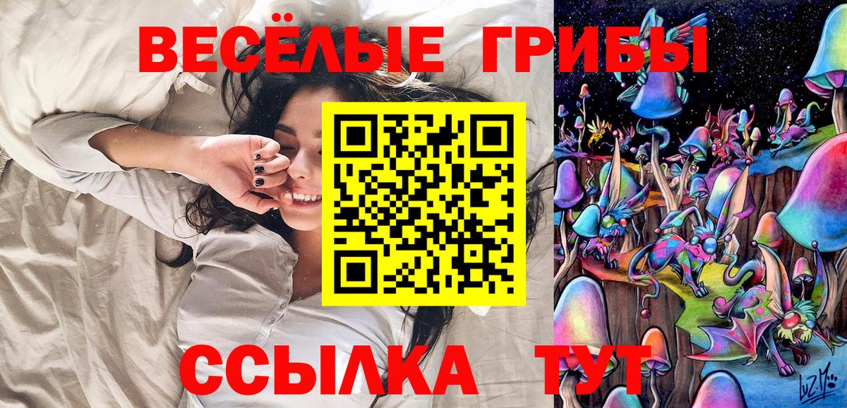 Псилоцибиновые грибы Psilocybe  Вход с VPN  Ессентуки 
