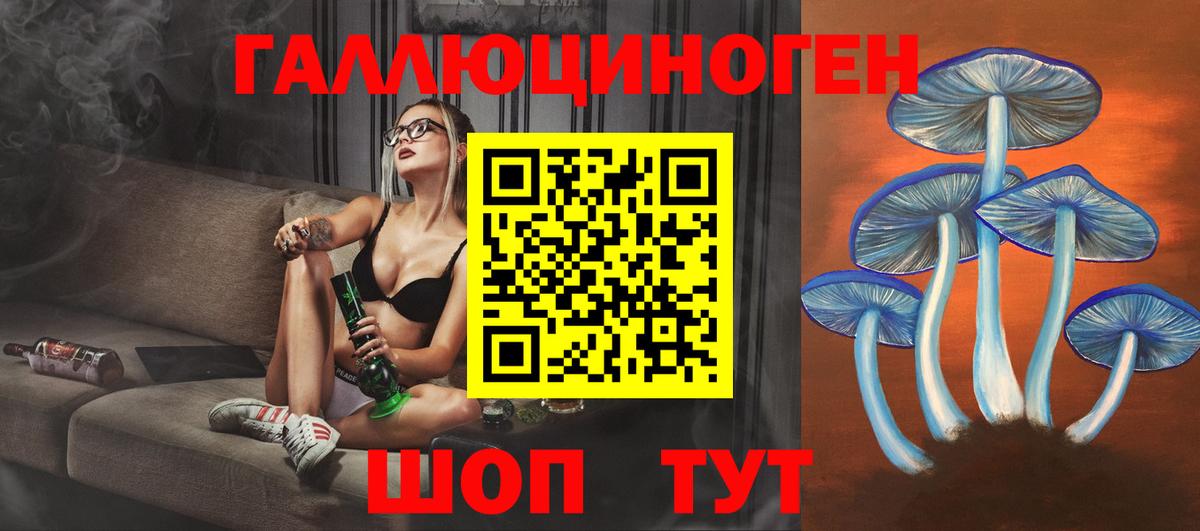 Псилоцибиновые грибы Psilocybine cubensis Ессентуки